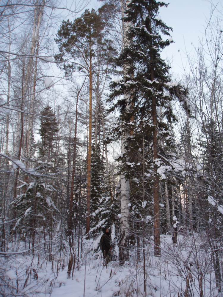 Russia Business Trip · Later Visit