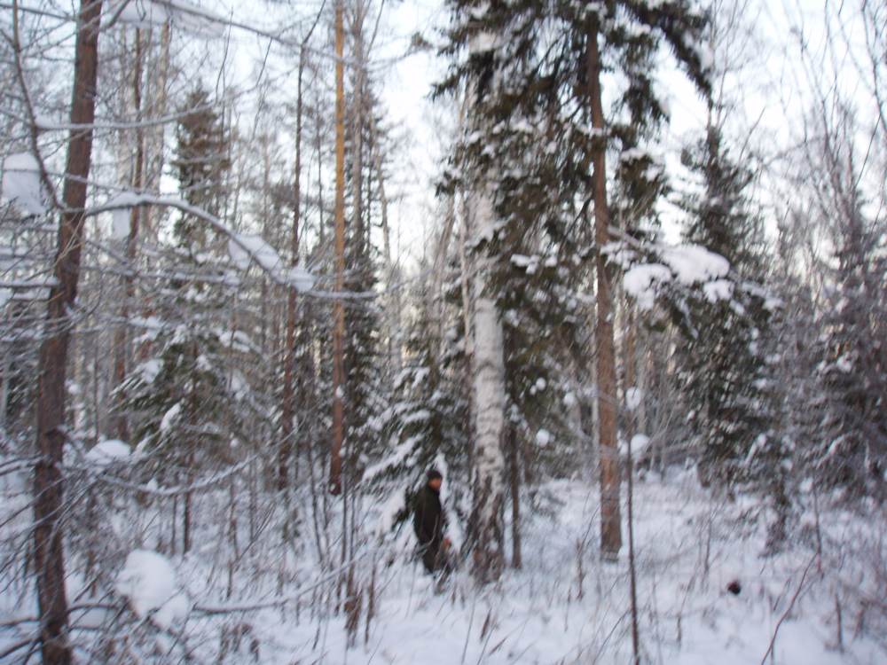 Russia Business Trip · Later Visit